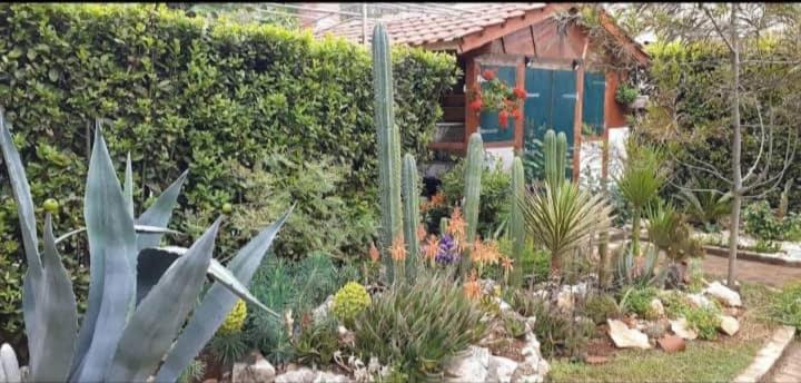 Cactus House Gaspar Zadar Luaran gambar