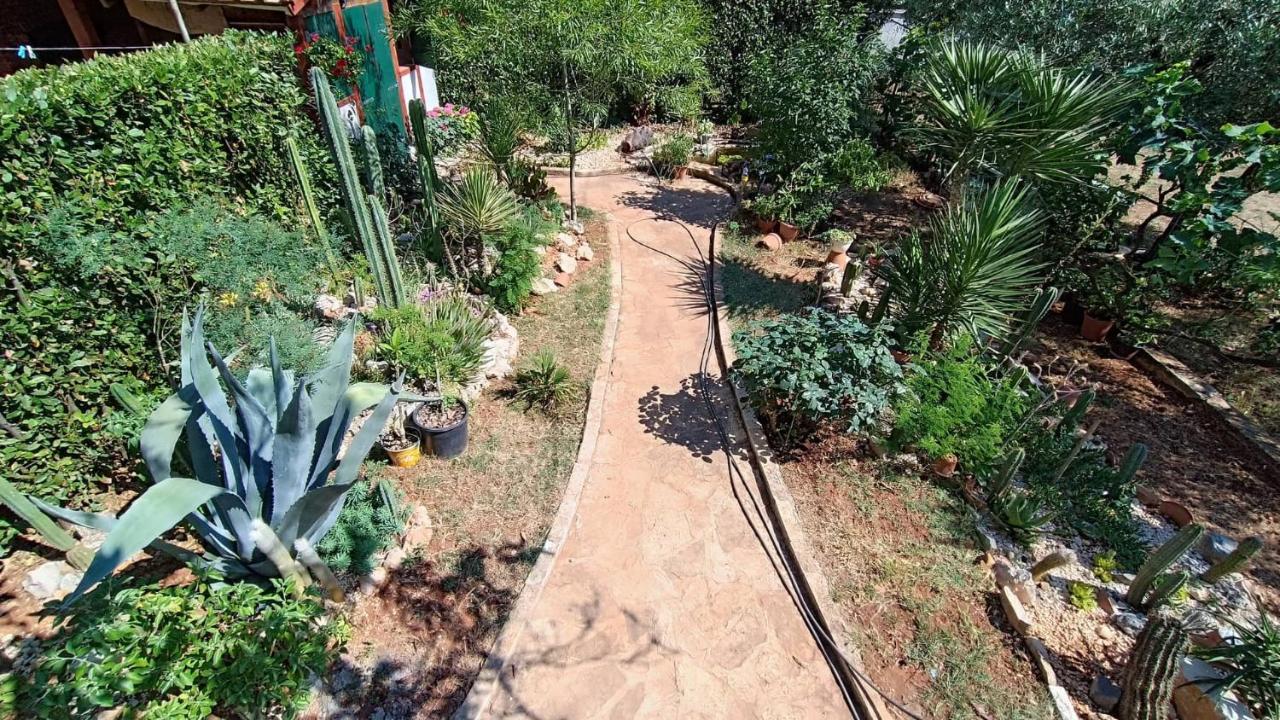Cactus House Gaspar Zadar Luaran gambar