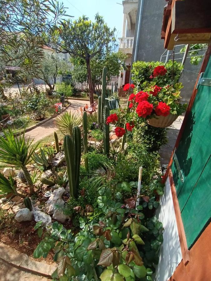 Cactus House Gaspar Zadar Luaran gambar