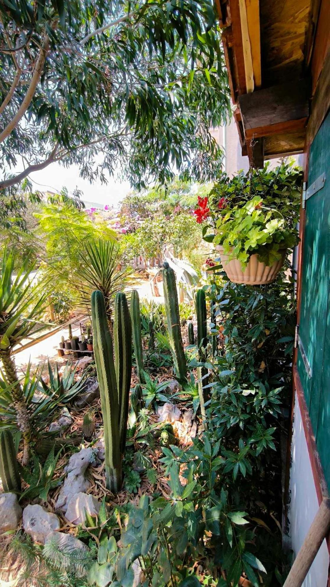 Cactus House Gaspar Zadar Luaran gambar